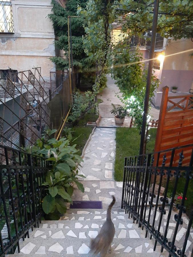 Piccola Italia Casa Racovita كلوج-نابوكا المظهر الخارجي الصورة