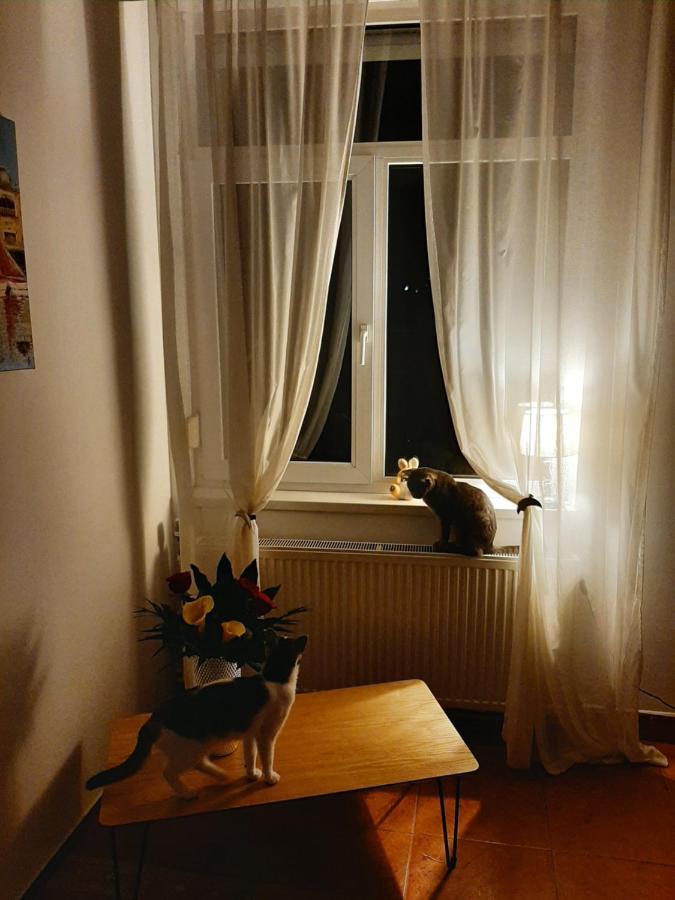Piccola Italia Casa Racovita كلوج-نابوكا المظهر الخارجي الصورة